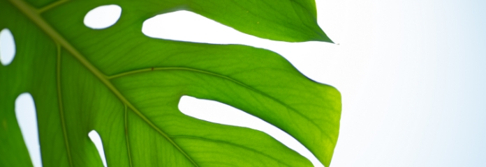 サイトマップキービジュアル