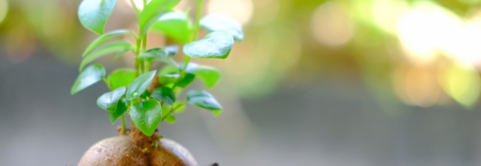 サイトマップキービジュアル